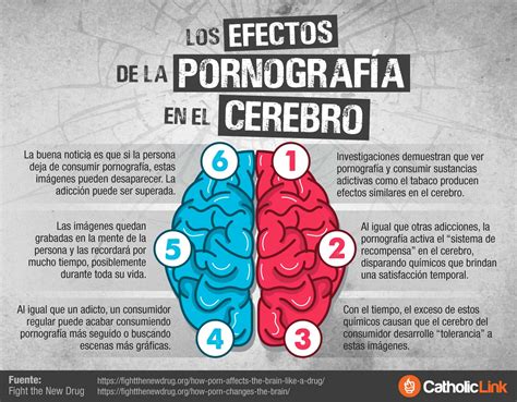 ponografia|Los EFECTOS de la PORNOGRAFÍA en tu CEREBRO .